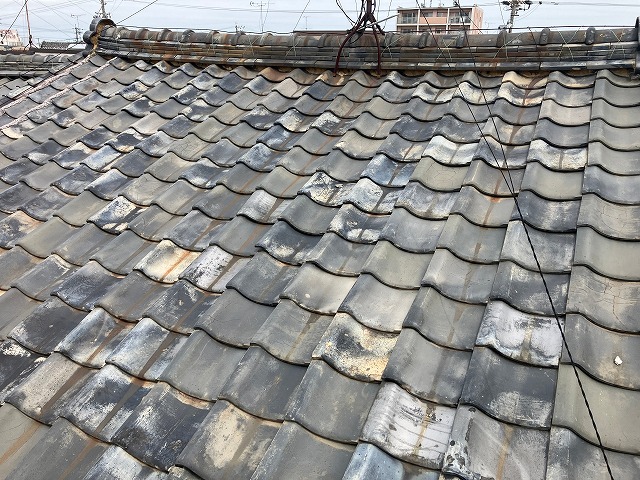 葺き替えを行った長屋の屋根